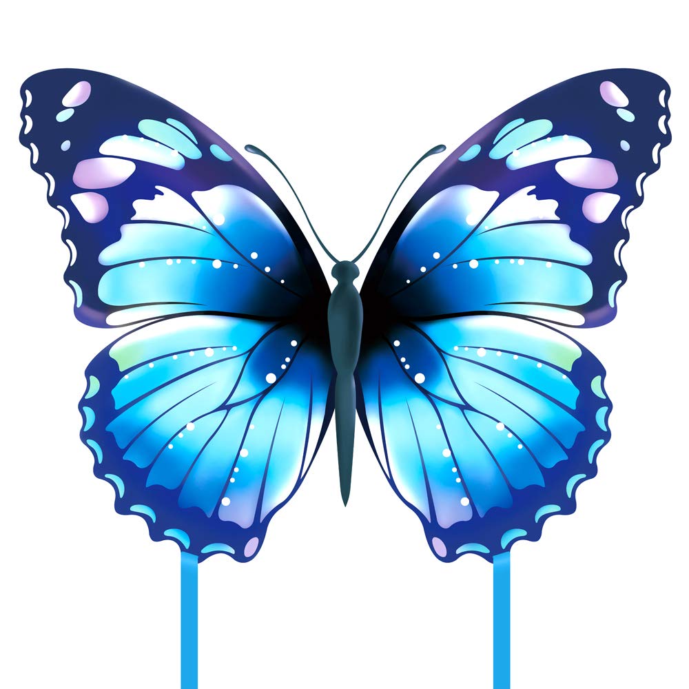 Amazon.com: Mint's Colorful Life Butterfly Kite for Kids & Adults